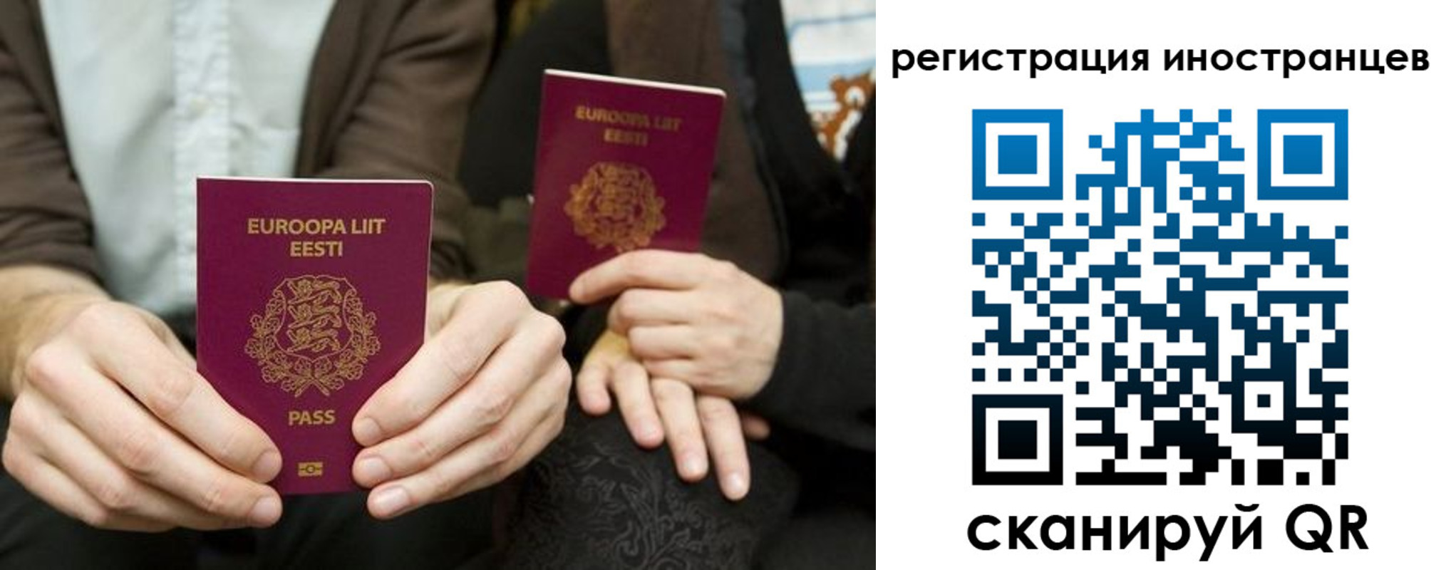 временная регистрация в Кингисеппе